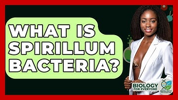 What Is Spirillum Bacteria? - Biology For Everyone