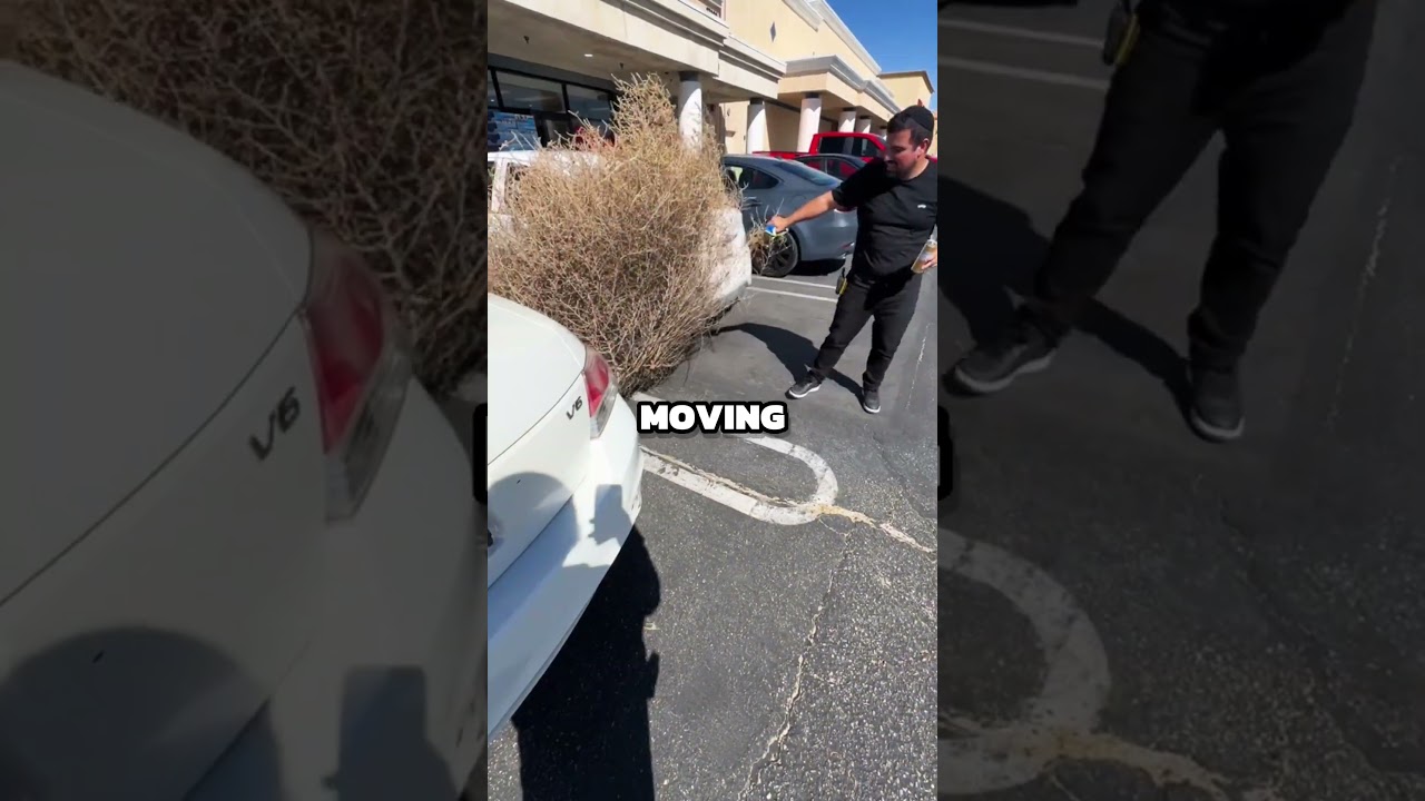 Why drivers shouldn't underestimate.. tumbleweeds #cars