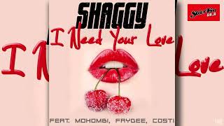 Shaggy ft. Mohombi, Faydee, Costi - I Need Your Love (2014 / 1 HOUR LOOP) * REVISION *