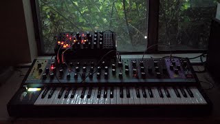 Moog Matriarch and Subharmonicon Generative Ambient Dusk