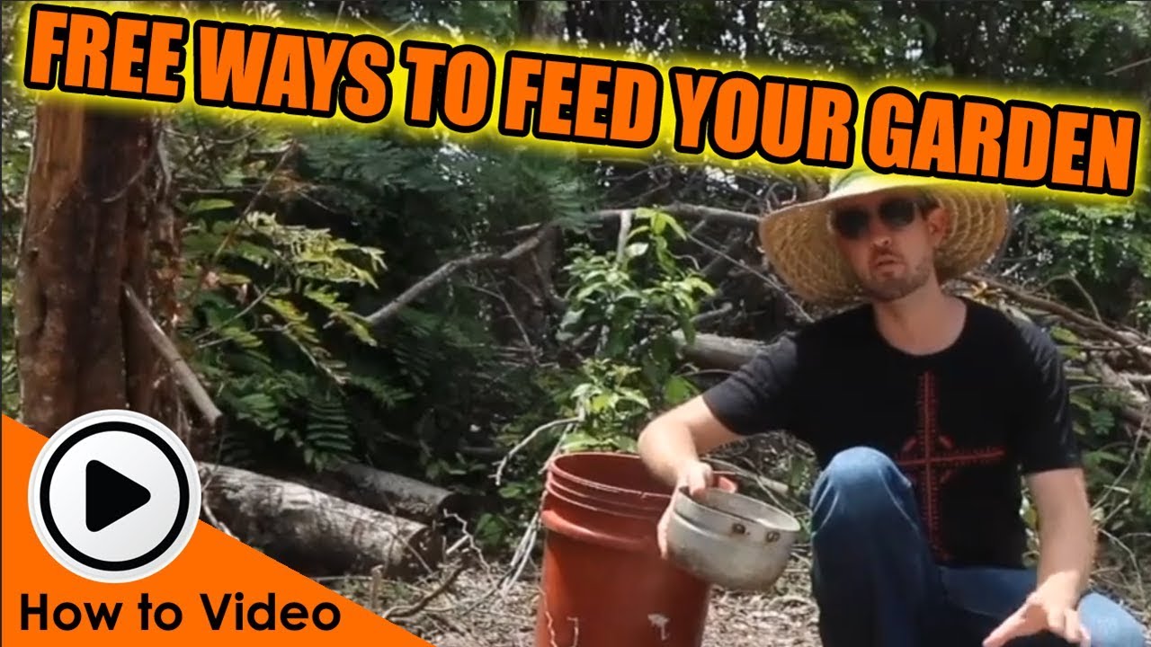 3.5 FREE ways to feed your garden. YouTube