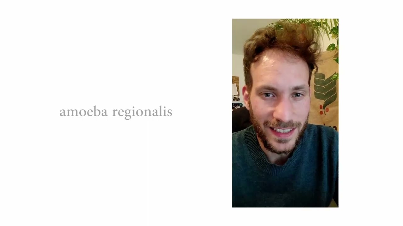 amoeba regionalis - RegionalGestalt RheinMain 2021 (Anerkennung)