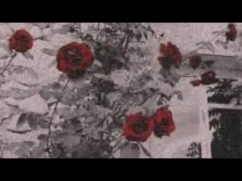 Give Us A Little Love (Fallulah) - Sped Up