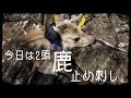 【狩猟】鹿の止め刺しを行っていきます。猪、鹿の狩猟や、渓流釣り、養蜂、稲作、地方移住の形、田舎暮らしを発信中!deer hunting