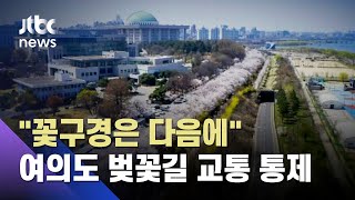 '여의도 벚꽃길' 31일부터 교통 통제…날짜 하루 앞당겨 / JTBC 뉴스ON