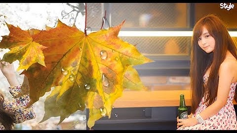 Share Transition Proshow Producer Free Downloads Part 4