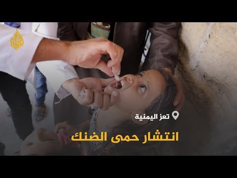 🇾🇪 حمى الضنك شبح يهدد أهالي مدينة #تعزاليمنية
