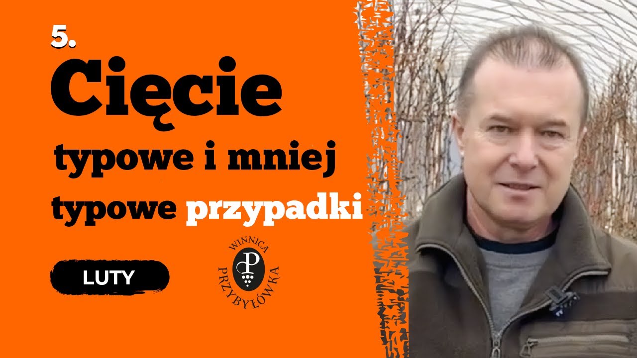 Cięcie - typowe i mniej typowe przypadki.