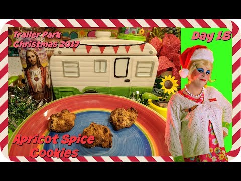 Apricot Spice Cookies : Day 18 Trailer Park Christmas 2017
