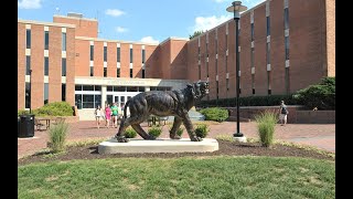 Graduate Orientation Fall 2020: Library Services