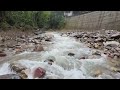 The River we Loved