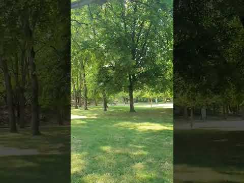 أروح لمين أم كلثوم كلمه ونظرة عين والقسمه وياهم Arooh Le Meen Om Kolthoum