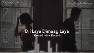 Dil Laya Dimaag Laya || Slowed & Reverb || Feel The Song 🎧 || Sid Music Collection