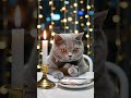 The Gray One | Ep. 5: Nervous Date..🕯️❤️ #kitten #cat #lifeisbutadream #animalsports  #cuteai #cute