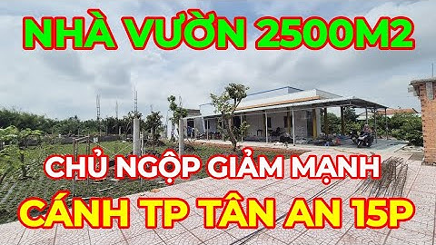 NHÀ VƯỜN NÔNG THÔN 2500M2 - 300M2 THỔ CƯ - SỔ HỒNG RIÊNG - CÂY ĂN TRÁI - CÁNH THÀNH PHỐ TÂN AN 15P