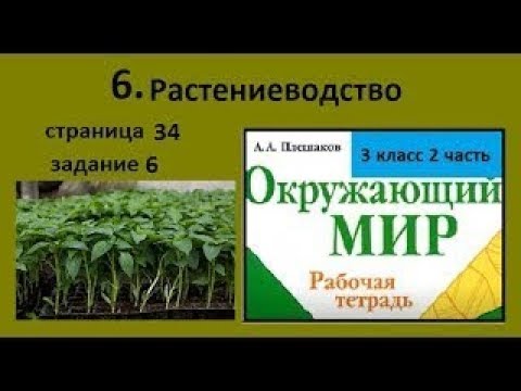 Практическая работа 3 класс окружающий мир растениеводство. Растениеводство рабочая тетрадь. Продукты растениеводства окружающий мир. Продукты растениеводства 3 класс. Растениеводство 3 класс окружающий мир.