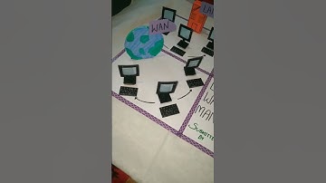 model on LAN MAN WAN   #computer #model #computerknowledge