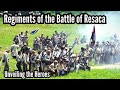 Regiments Involved At The Battle of Resaca