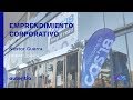 Emprendimiento Corporativo - Nestor Guerra