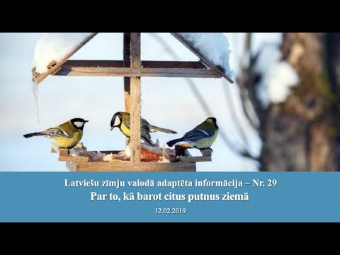 Video: Kā Ziemā Barot Putnus