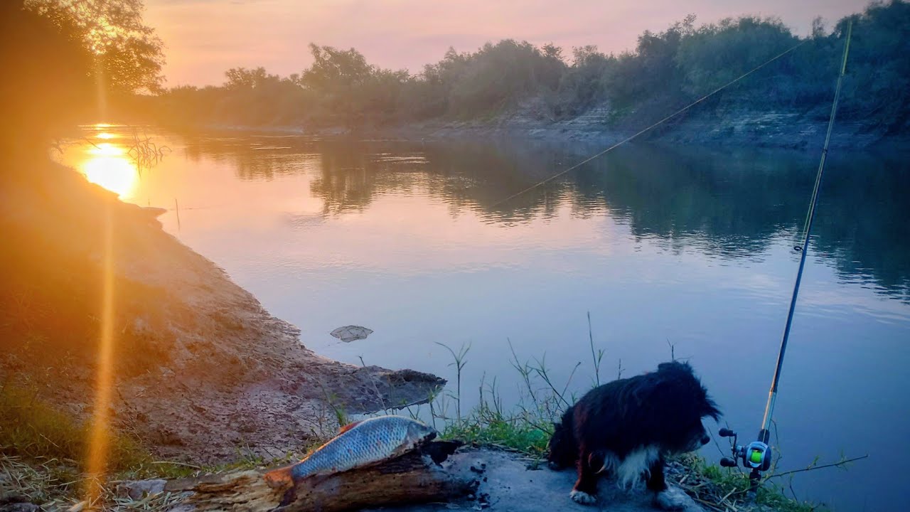 🔥🔥3 DIAS DE PESCA BOGAS Y BAGRES EN INCREÍBLE LUGARES pesca certera 2026