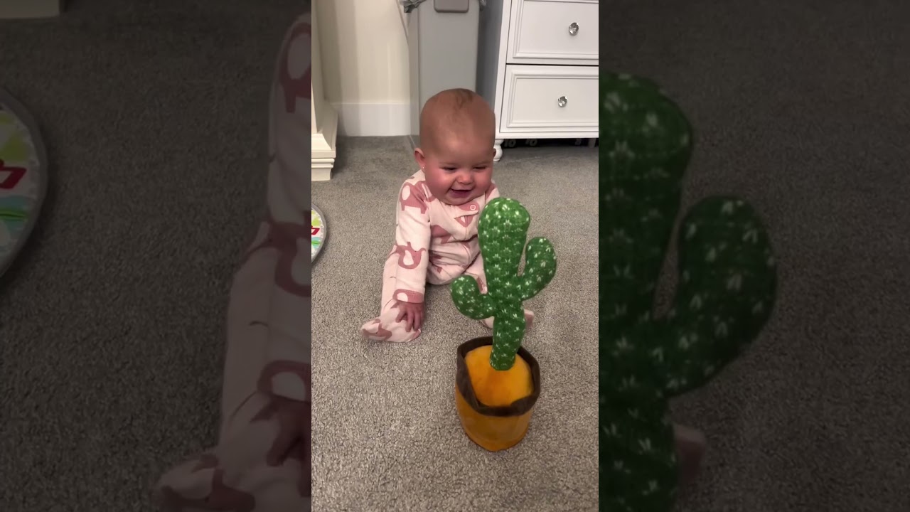 Kid fooled by cactus 😂