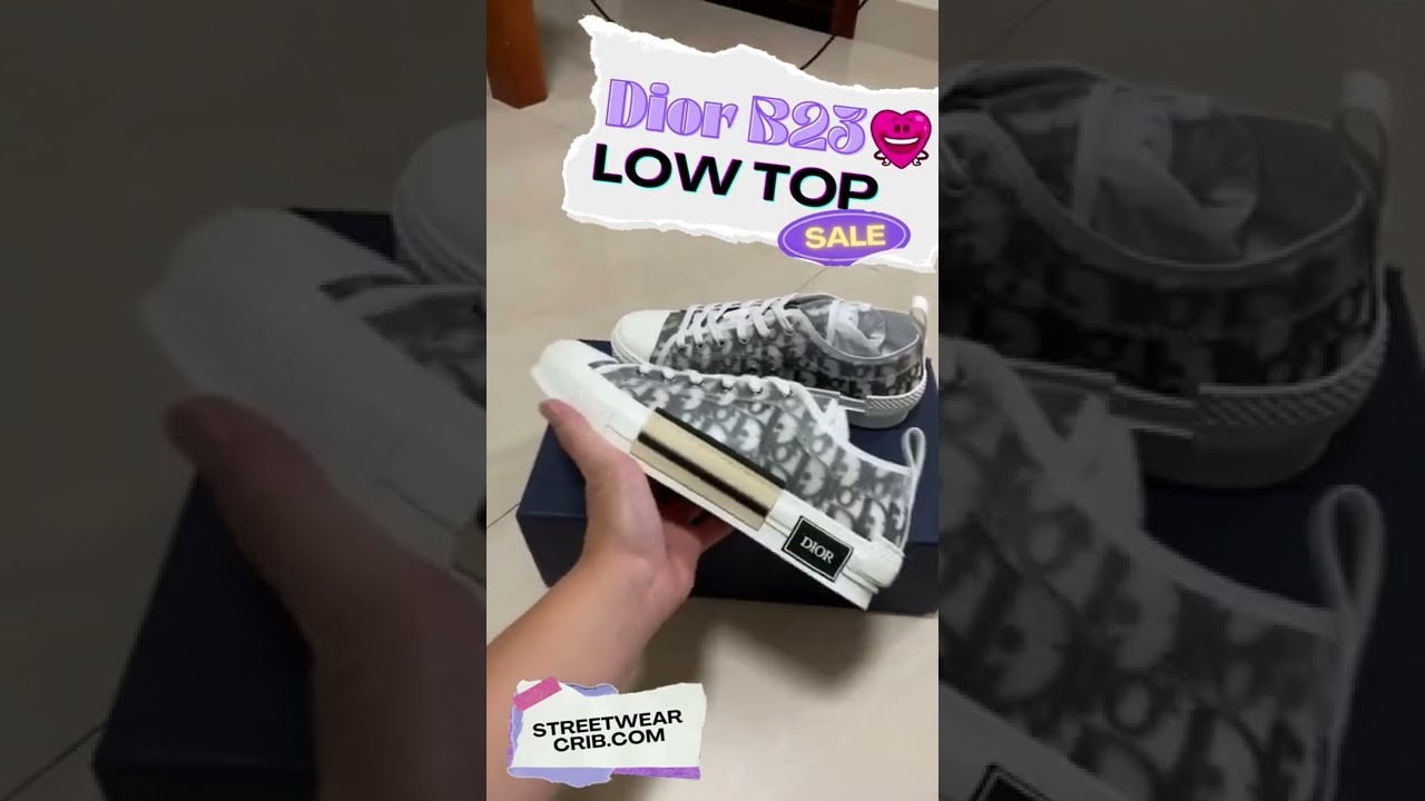 Dior B23 Low Top Sneaker 
