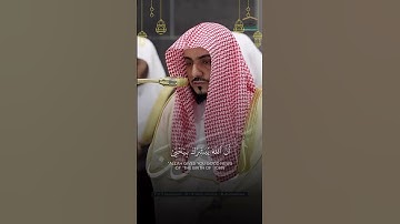 قبس من تراويح ليلة ٤ رمضان ١٤٤٦هـ | تلاوة فضيلة الشيخ د.الوليد بن خالد الشمسان