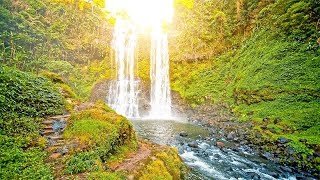 Musica rilassante e Suoni della Natura: Bellissimo Pianoforte, Suoni d&#39;Acqua, il Sonno della Musica