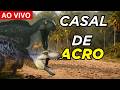 ツThe Hiru AO VIVO jogando Ark Lost Island | CASAL de Acrocanthossauro