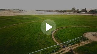 Saudi's Farms Turning to Satellite Monitoring and A.I.