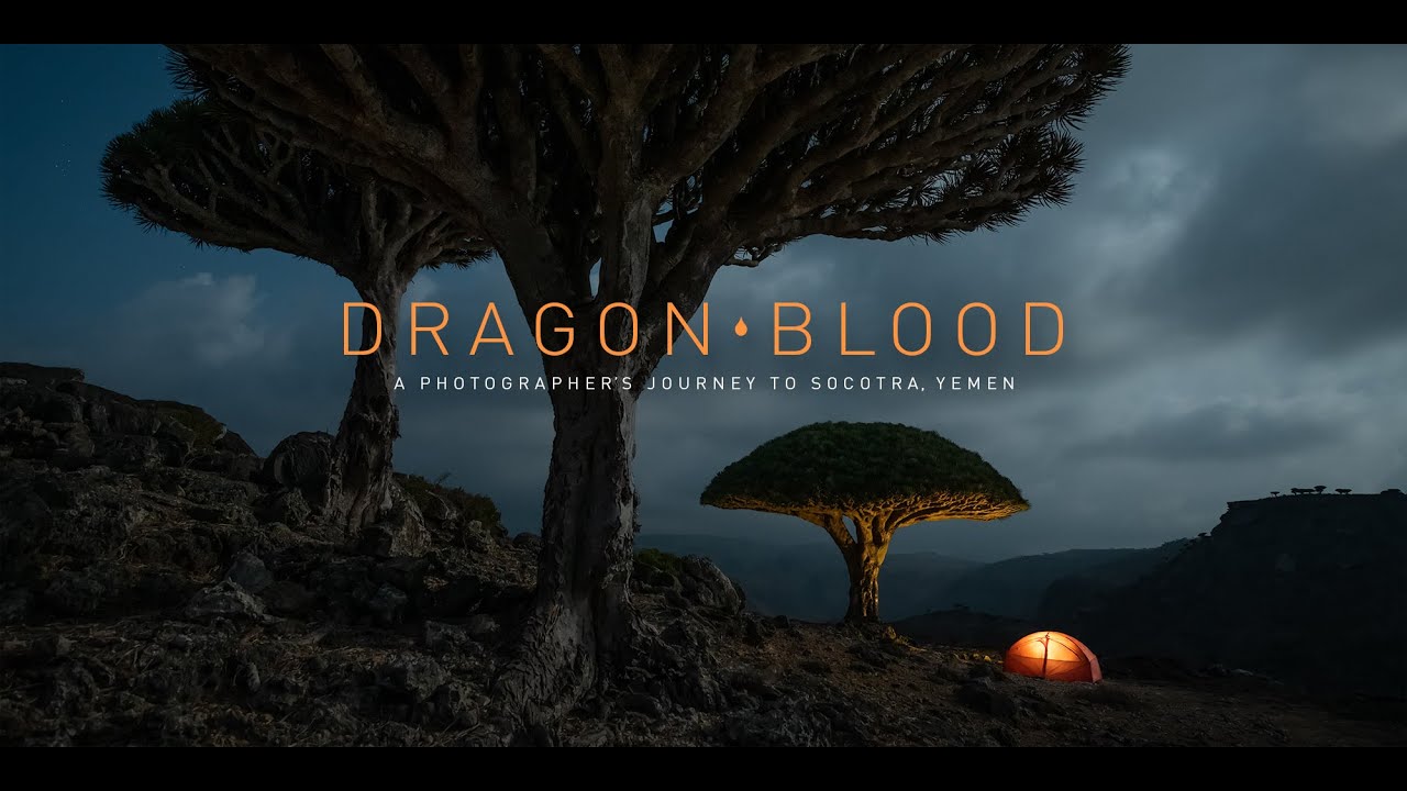 Dragon Blood A Photographer S Journey To Socotra Yemen Youtube