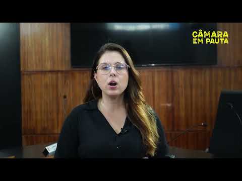 CÂMARA EM PAUTA - Conheça as funções do Vice-Presidente do Legislativo