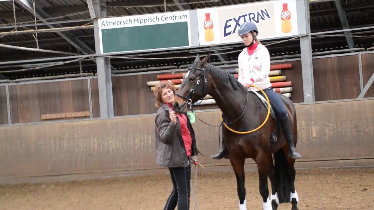 Freedom Riding Articles course at Almeersch Hippisch Centrum