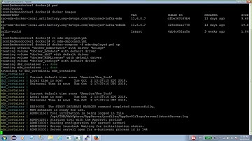 IBM InfoSphere Master Data Management v11.6 FP 7 on Docker