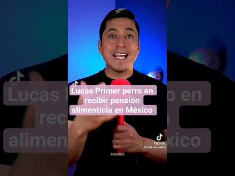 LUCAS PRIMERO PERRO EN MÉXICO EN RECIBIR PENSIÓN ALIMENTICIA : ORDENA UN JUEZ EN TABASCO