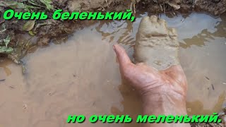 Абиссинская скважина.На белом но очень мелком песке.