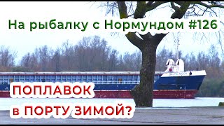 Что можно поймать на ПОПЛАВОК в ПОРТУ ЗИМОЙ? / На рыбалку с Нормундом #126