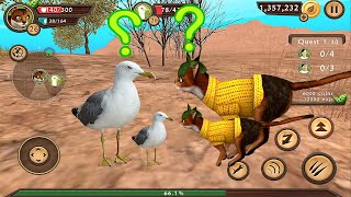 Cat Vs Seagull Cat Sim Online Play With Cat Clan Pet Simulator Android Gameplay