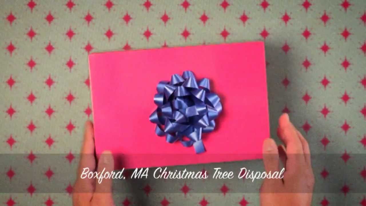 Boxford, MA Christmas Tree Disposal YouTube