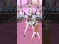 『 全肯定! / フレン・E・ルスタリオ 』フレン先輩の素敵なオリ曲✨#踊ってみた 【ソフィア・ヴァレンタイン/にじさんじ】