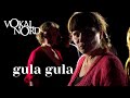 Vokal Nord Gula Gula 