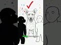 Why Your Dog Stares At You While You Eat (It's Not Begging) #shorts