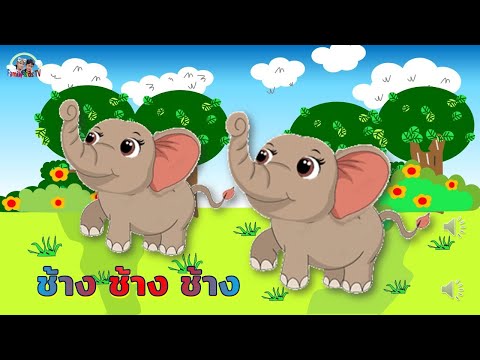 เพลงช้าง ช้าง ช้าง /เพลงเด็กอนุบาล /แอร์พอร์ต Family Kids TV