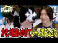 【説明もなくレースが始まる】天国にいる飼い主を迎えに行く!!「My Little Puppy」part4