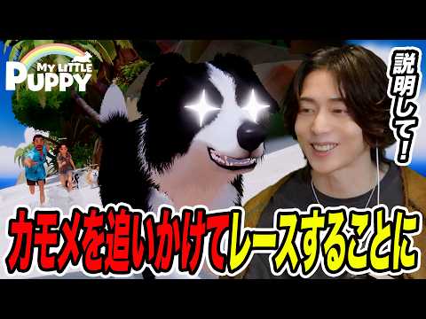 【説明もなくレースが始まる】天国にいる飼い主を迎えに行く!!「My Little Puppy」part4
