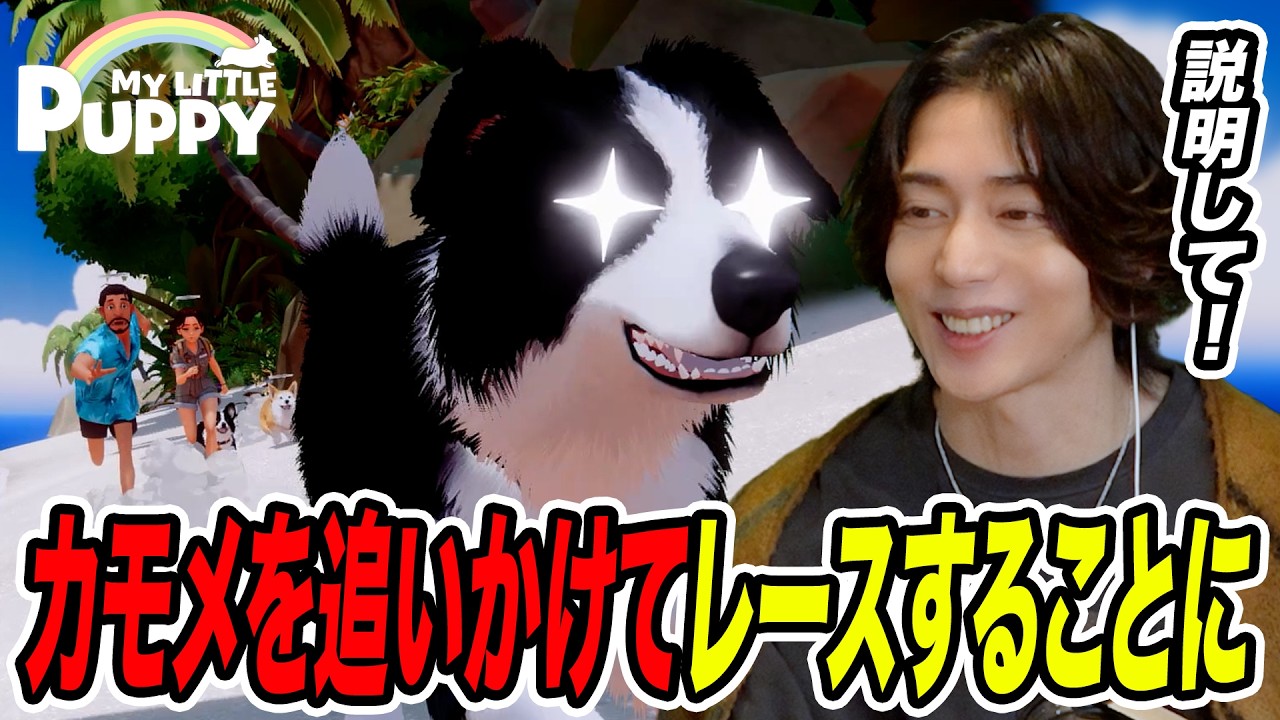 【説明もなくレースが始まる】天国にいる飼い主を迎えに行く!!「My Little Puppy」part4
