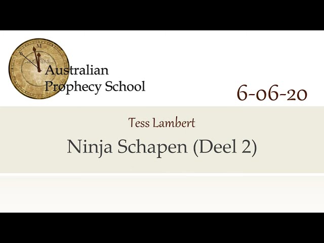 #7. Ninja Schapen (Deel 2) | Tess Lambert | 13-06-2020