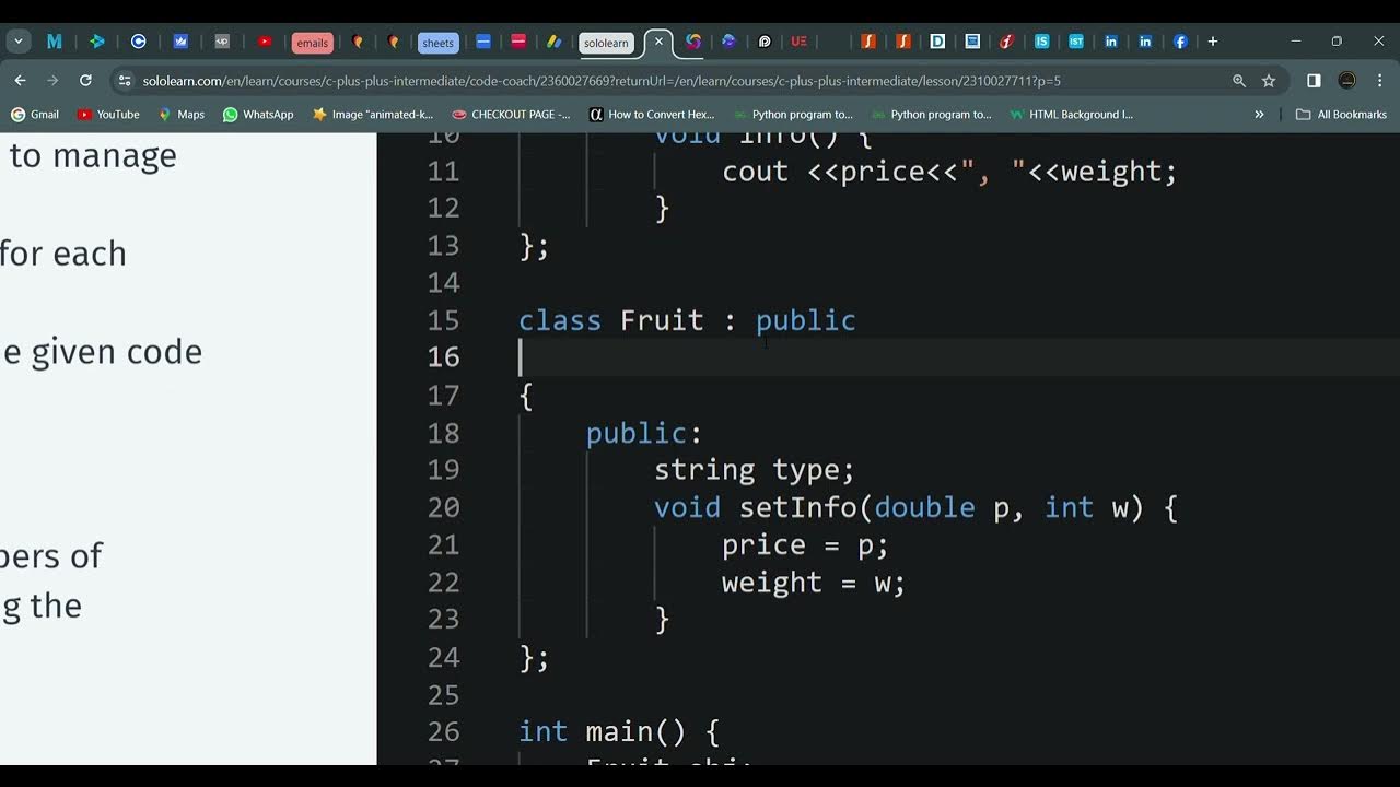 23 Protected Members | C++ intermediate | Sololearn - YouTube