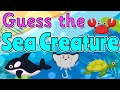 Sea Creature Identification Quiz